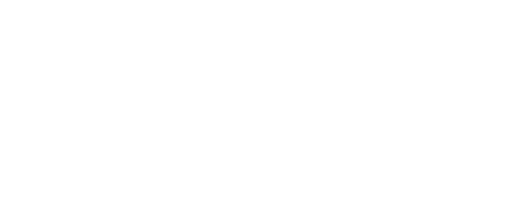 Nexus Launchers